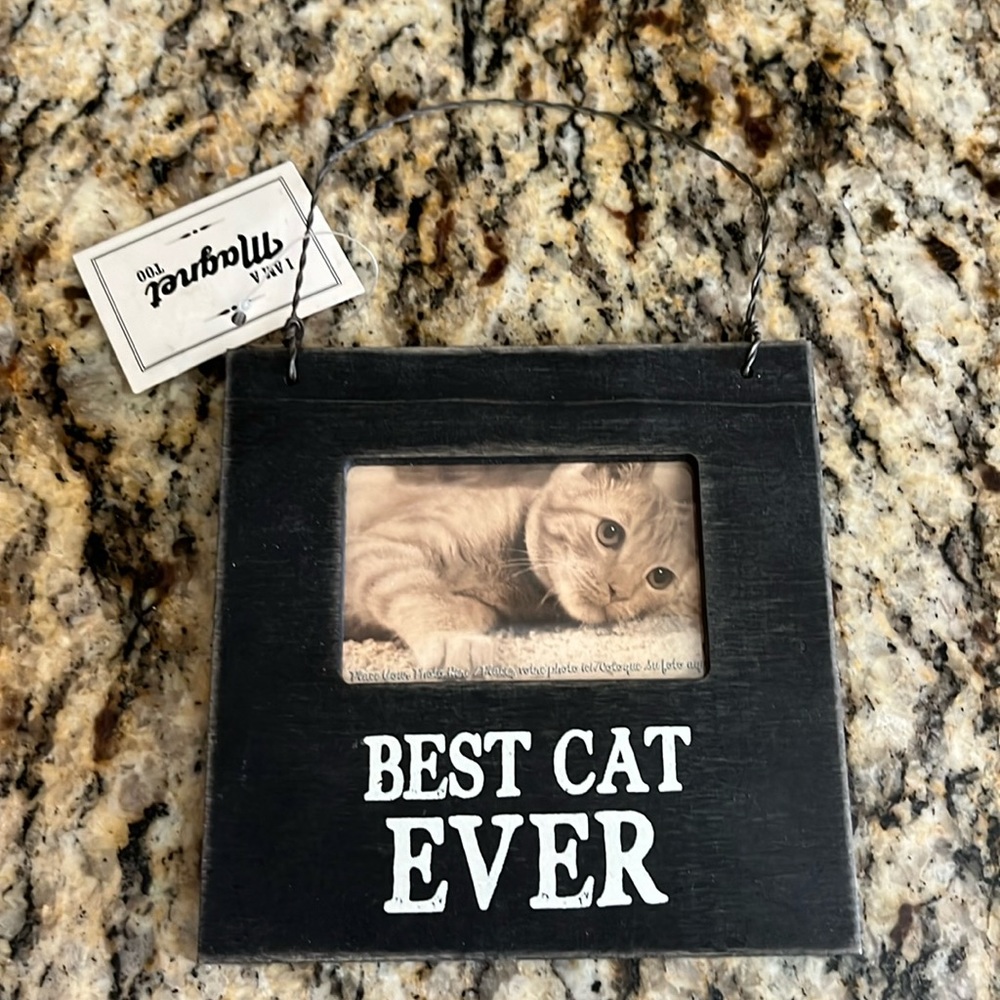 Cat ornament NWT
